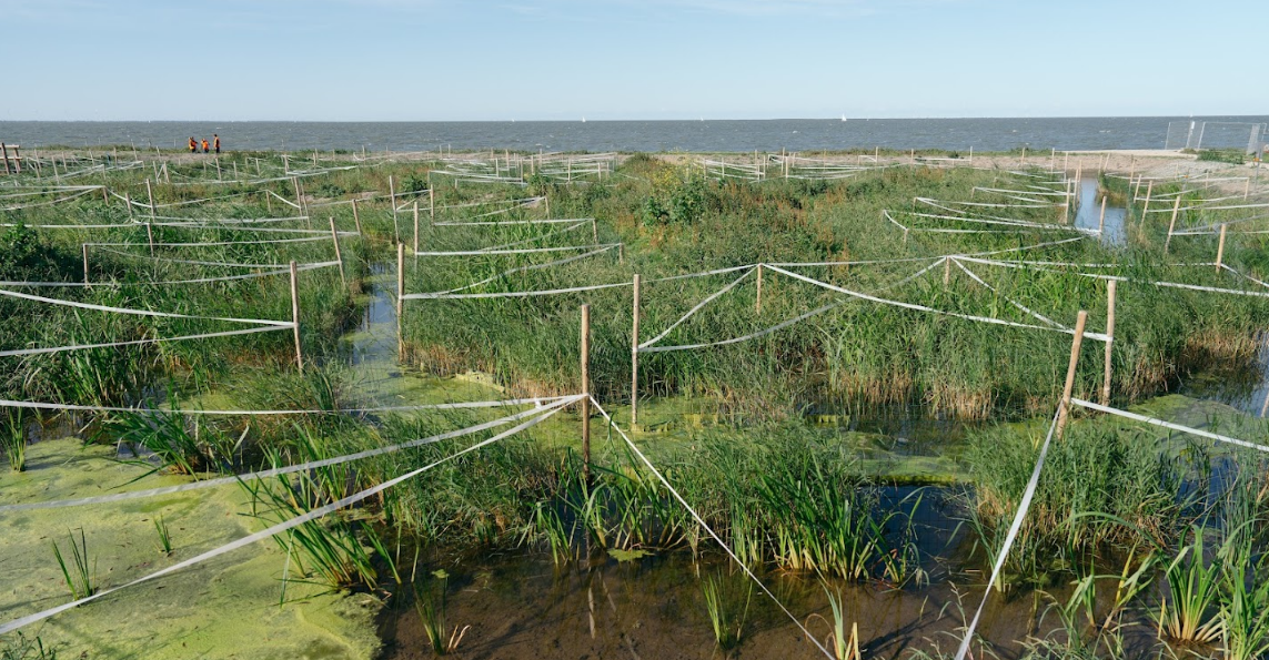 Pilotlandschappen
