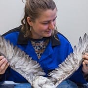 Susanne Kühn