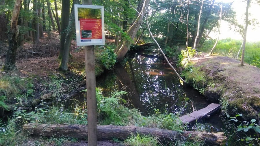 Tijdelijke stuw in Leuvenumse Beek