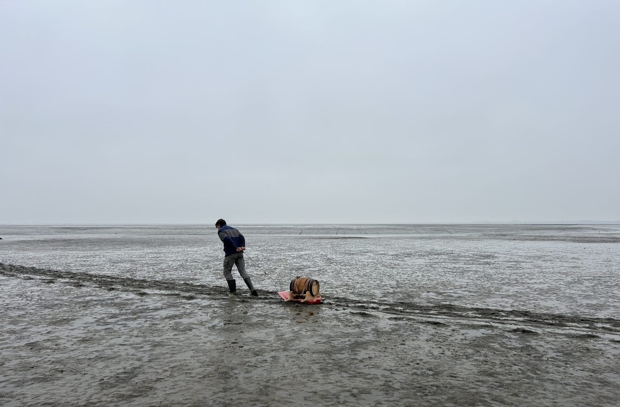 Vat op het wad Groninger Landschap