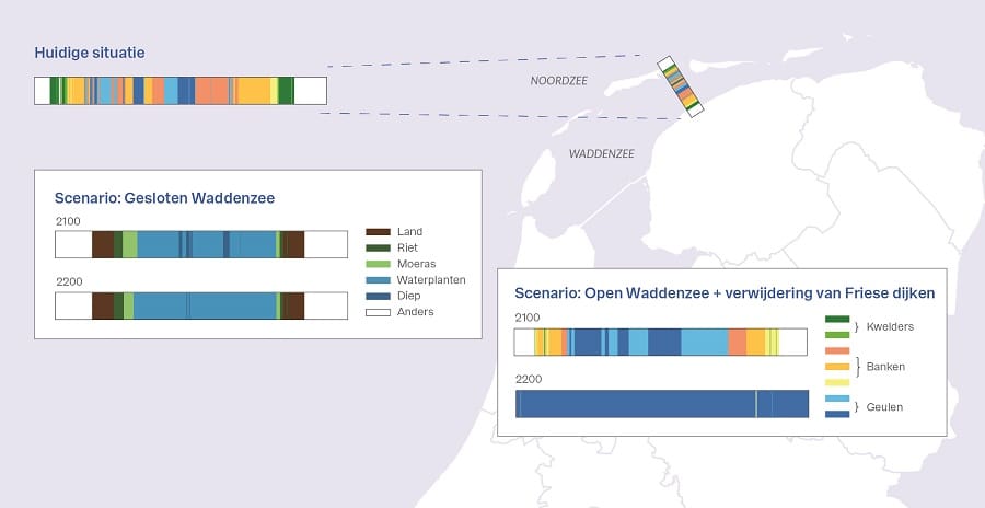 Visualisatie Waddengebied Ilse van den Broek