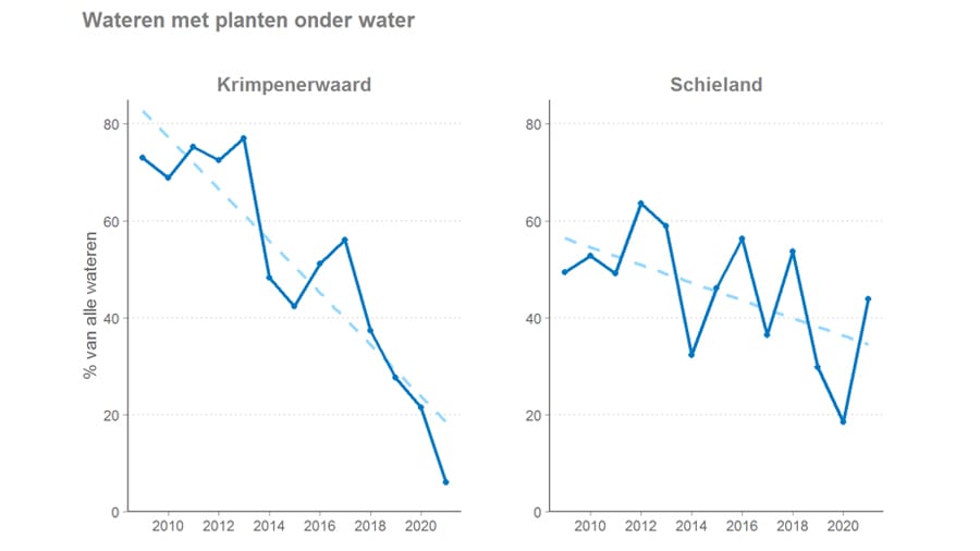 Waterplanten onder water 