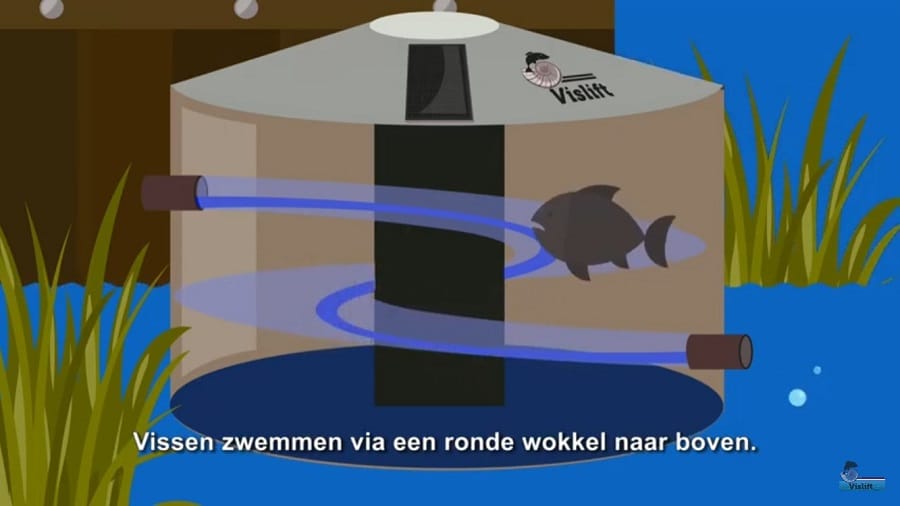 Werking vislift