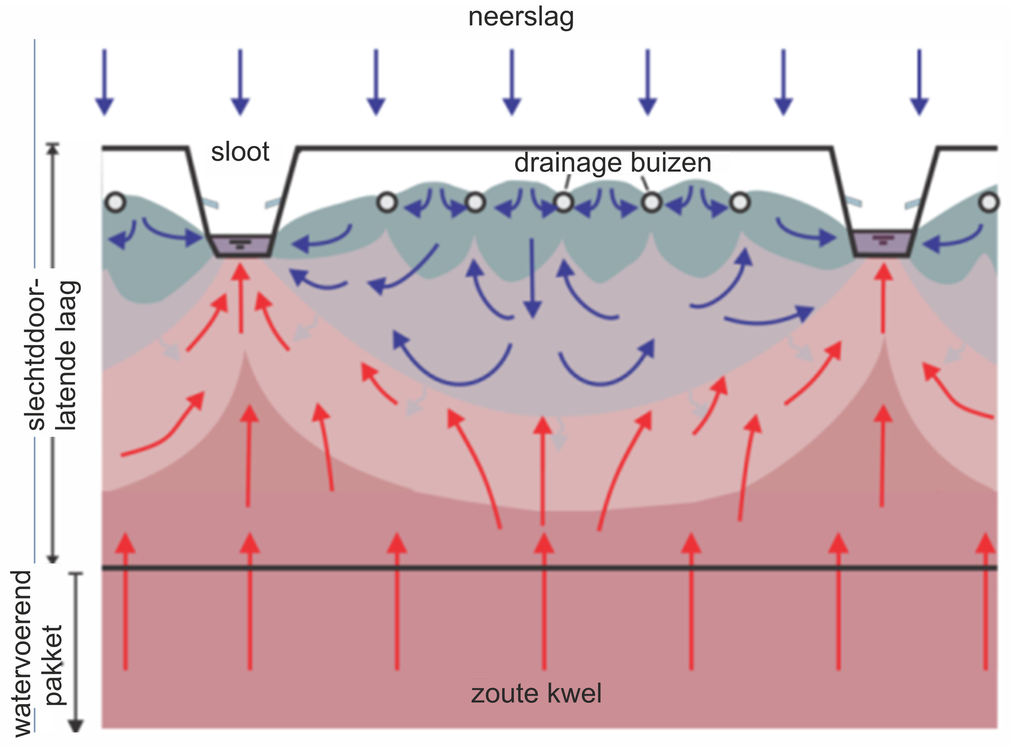 Zoetwaterlens De Louw et al 2013 Journal of Hydrology