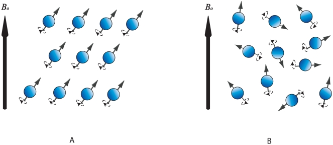 afb. 6 coherentie