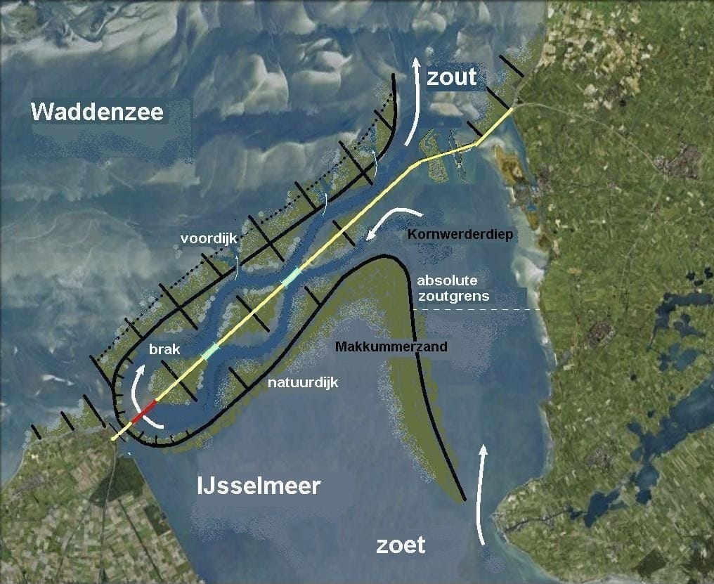afb3 vismigratie Afsluitdijk