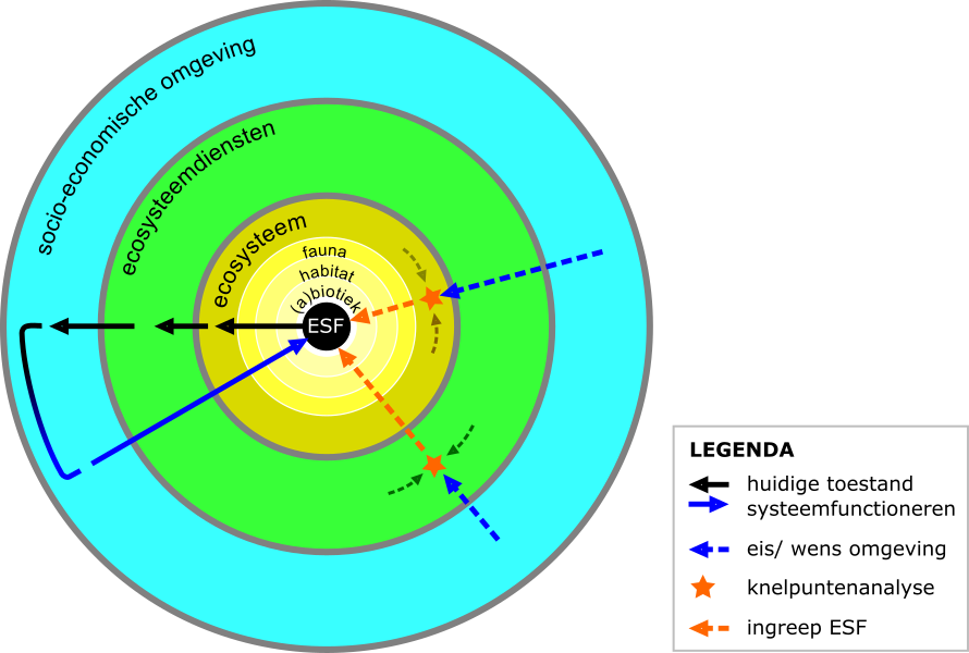 afbeelding 3 - Ecomindmap