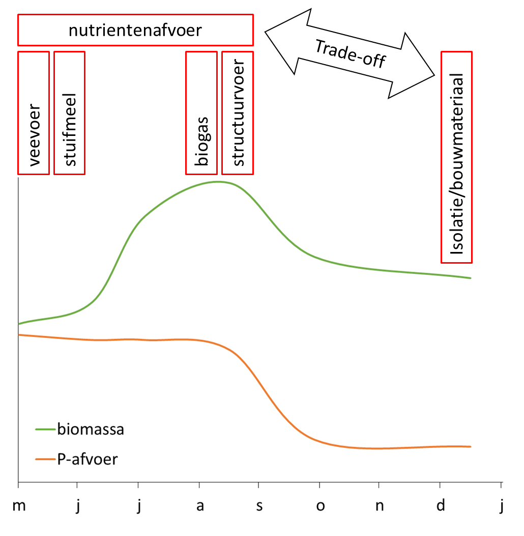 afbeelding 3 Geurts et al