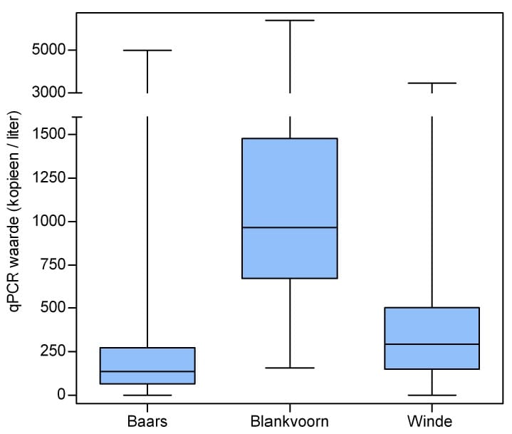 fig1b