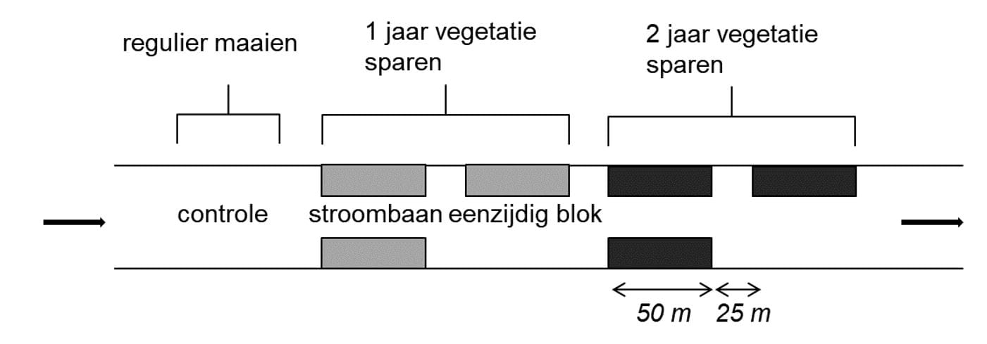 fig2 schema