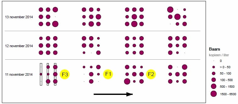 fig2ned