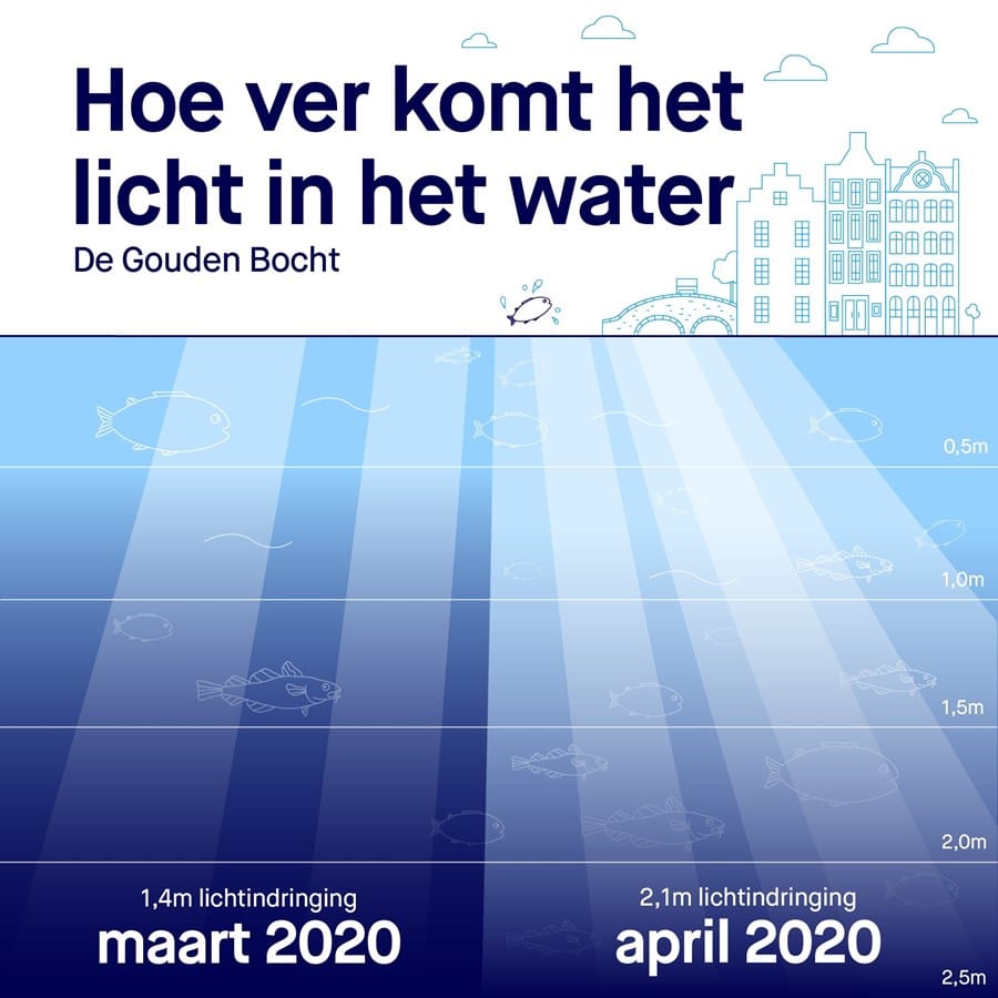 infographic helder water gouden bocht