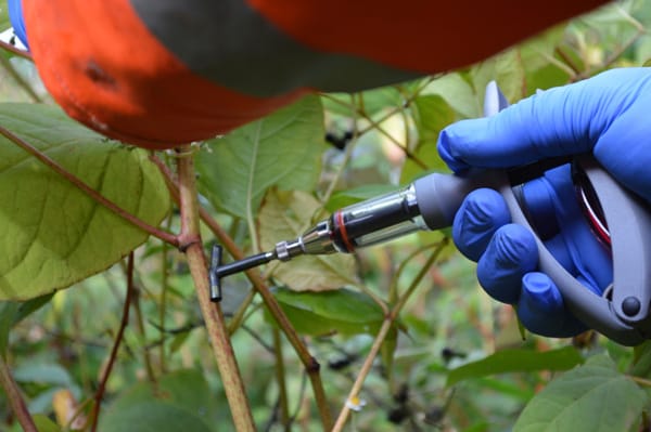 injecteren close 600