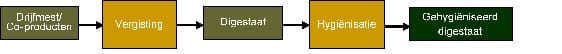 mestpathafb2