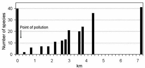 v. sluis afbeelding 6b