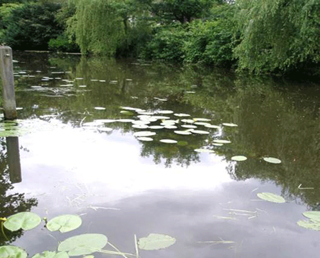 Nieuwe tool voor locatiespecifieke beoordeling waterkwaliteit