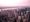 Royal Haskoning en Vitens niet meer op zwarte lijst New York