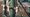 \'Beperking intern salderen stikstofruimte raakt ook de waterschappen\'