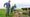 Citizen Science: \'Zonder gedegen begeleiding werkt het niet\'