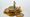 Oppositie Brabantse Delta: burger betaalt de hoofdprijs