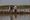 ‘Schaal Building with Nature wereldwijd op’