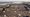 Waterlectoren starten zes living labs