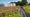 Wavin neemt start-up MetroPolder over