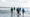 Summer School Waddenacademie: toekomst Waddenzee in handen van jongeren