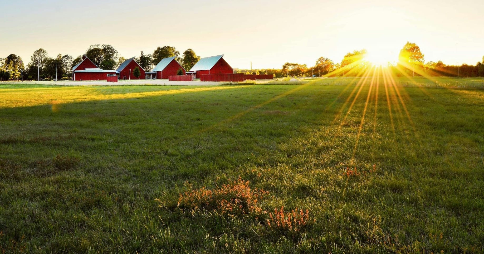 Living Roots Farmstead