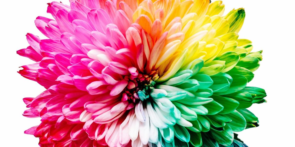 Color Harmony Isn't About Following Rules You Learned in School