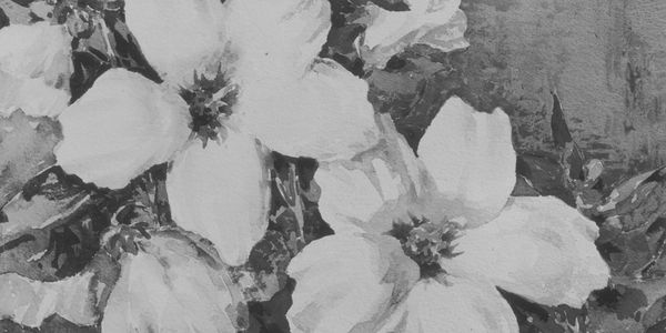 Black and White in the Age of Color