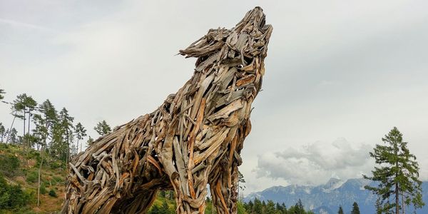 Why Environmental Art Often Gets the Science Wrong