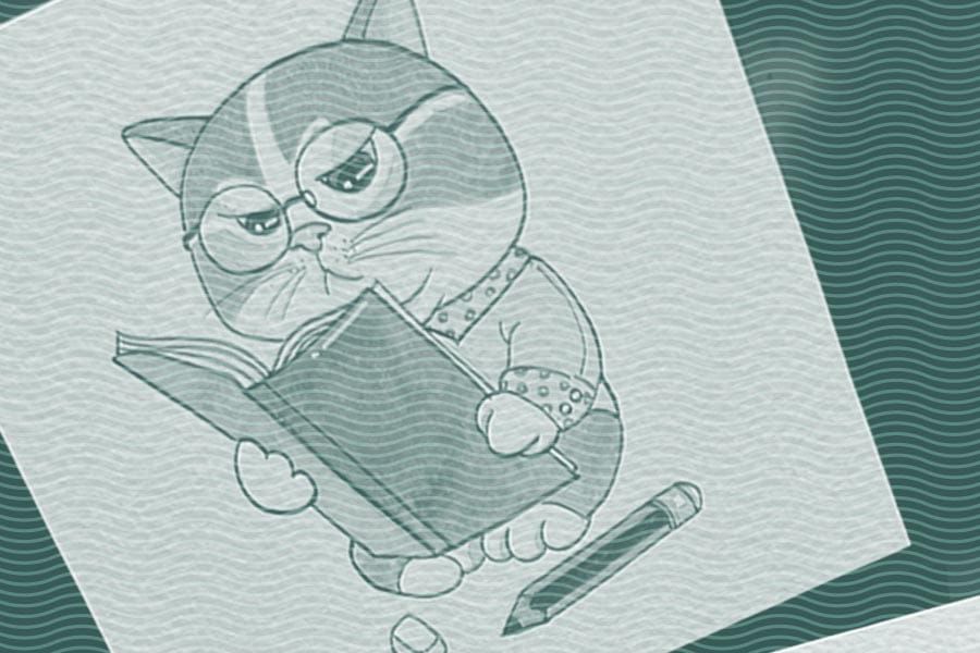 Vol.24 In progress, now with color photography