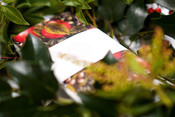 Vol.4 The Next Edition, Thanksgiving, and a Very Hard Year