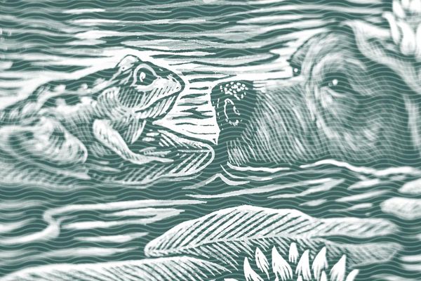 Vol.16 Change of plans