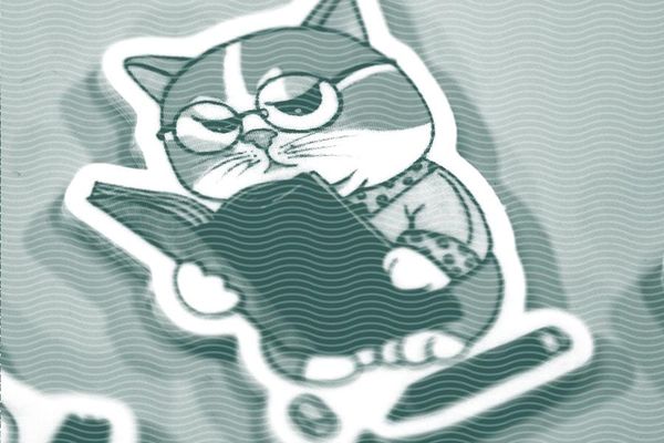 Vol.37 Here come the cats