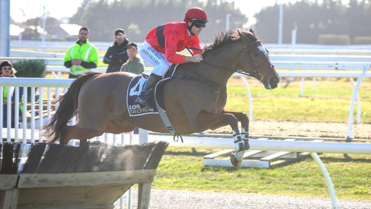 Dictation seeking redemption in Grand National Hurdles