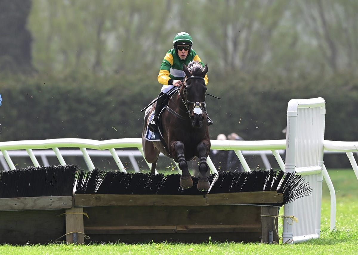 Great New Zealand focus for Billy Boy