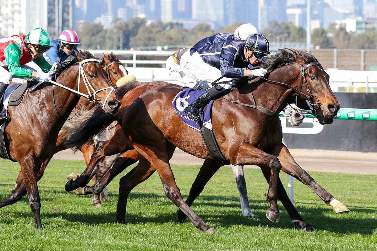Another Flemington pay-day for Bold Soul
