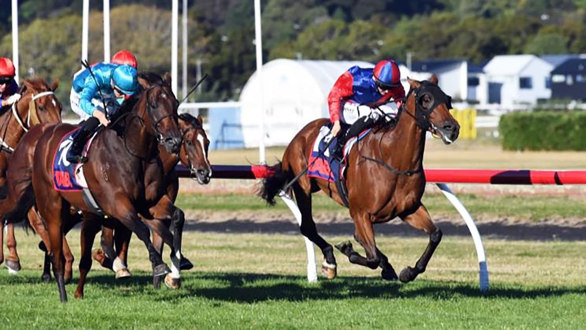 Foxbridge likely first target for Doctor Askar