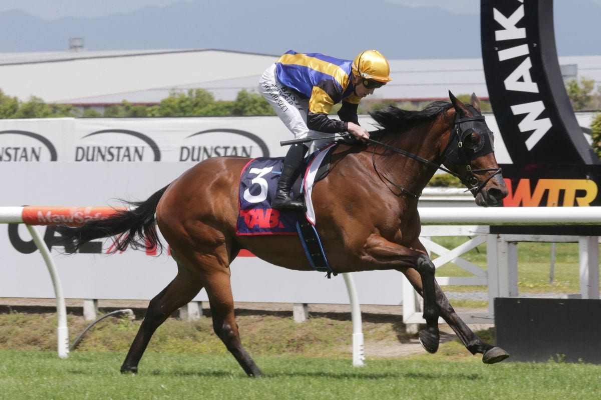Carston excited about spring prospects