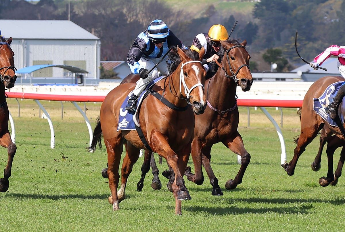 Humza Bey retains unbeaten record