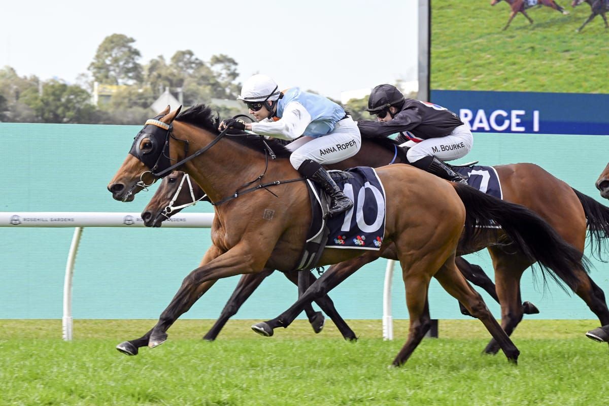 Monkhana continues young trainer’s metropolitan run