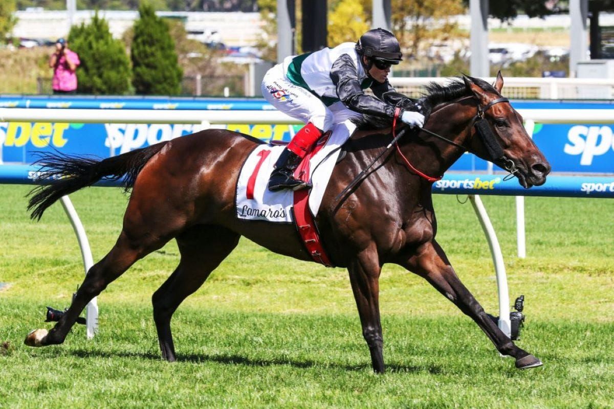 Kiwi brigade out in force for Lindsay Park