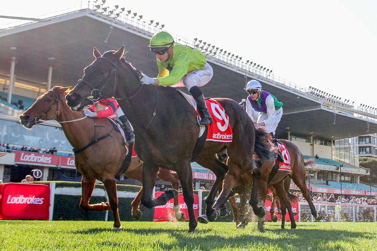 Navy King sails to Valley victory