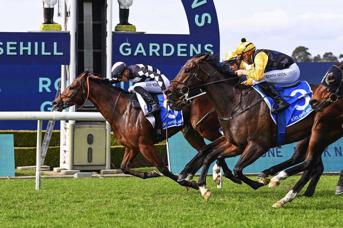 Puntin to relish rise in distance