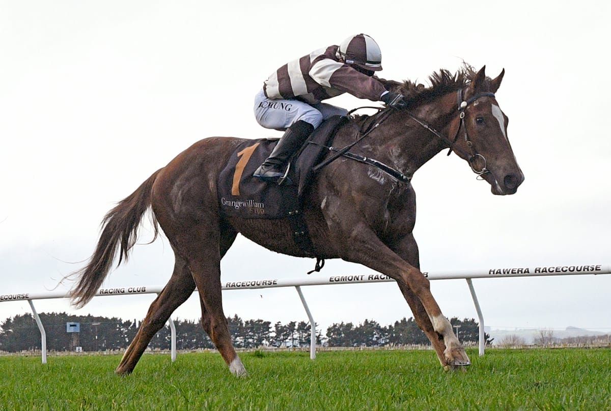 Speedy juvenile leading Sharrock’s trio at Otaki