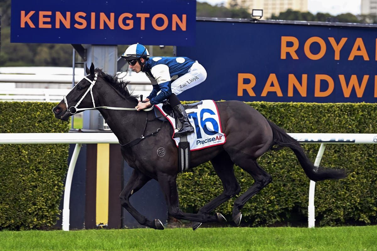 Saltcoats dominates Premier’s Cup Prelude