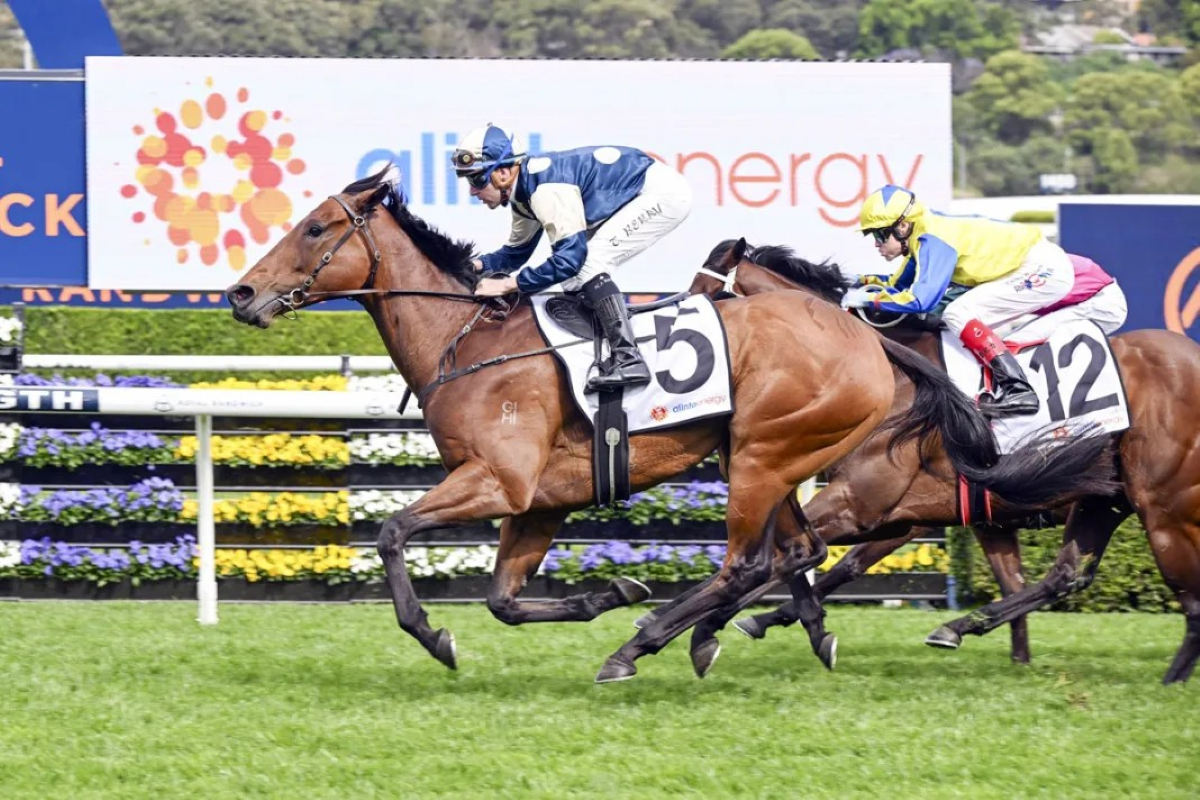 Second Sydney chance for St Lawrence