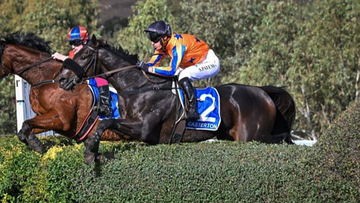 Grand National on radar for mighty jumper